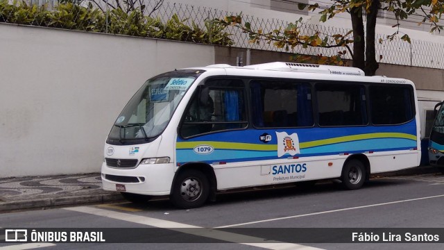 Guaiúba Transportes 1079 na cidade de Santos, São Paulo, Brasil, por Fábio Lira Santos. Número da foto: #9011724.