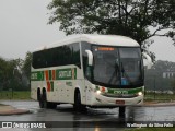 Empresa Gontijo de Transportes 21675 na cidade de Vitória, Espírito Santo, Brasil, por Wellington  da Silva Felix. Número da foto: #9014828.