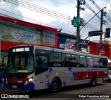 Transwolff Transportes e Turismo 7 8806 na cidade de São Paulo, São Paulo, Brasil, por Felipe Goncalves do Vale. Número da foto: #9015105.