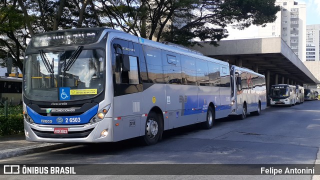 Transcooper > Norte Buss 2 6503 na cidade de São Paulo, São Paulo, Brasil, por Felipe Antonini . ID da foto: 9020951.