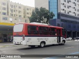ATL - Associação dos Transportadores de Passageiros por Lotação 231 na cidade de Porto Alegre, Rio Grande do Sul, Brasil, por Gabriel Cafruni. Número da foto: #:id.