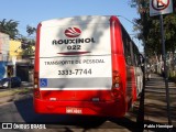 Rouxinol 022 na cidade de Belo Horizonte, Minas Gerais, Brasil, por Pablo Henrique. Número da foto: #:id.