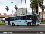 Transcal Sul Transportes Coletivos 24103 na cidade de Porto Alegre, Rio Grande do Sul, Brasil, por Gabriel Cafruni. ID da foto: :id.