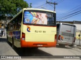 Coesa Transportes RJ 117.191 na cidade de São Gonçalo, Rio de Janeiro, Brasil, por Gabriel de Oliveira. Número da foto: #9024342.