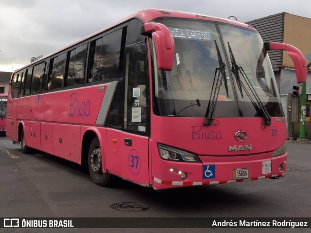 BIUSA 37 na cidade de Merced, San José, San José, Costa Rica, por Andrés Martínez Rodríguez. Número da foto: #9025038.