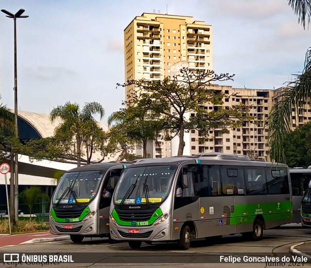 Transcooper > Norte Buss 1 6530 na cidade de São Paulo, São Paulo, Brasil, por Felipe Goncalves do Vale. Número da foto: #9026362.