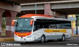 Flecha Amarilla 7463 na cidade de Morelia, Michoacán, México, por Fabián Reyes. Número da foto: #9026984.