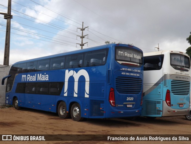 Real Maia 2020 na cidade de Teresina, Piauí, Brasil, por Francisco de Assis Rodrigues da Silva. Número da foto: #9027937.