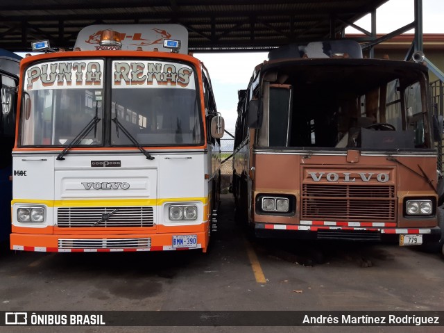 Autobuses sin identificación - Costa Rica 00 na cidade de Alajuela, Alajuela, Costa Rica, por Andrés Martínez Rodríguez. Número da foto: #9035254.
