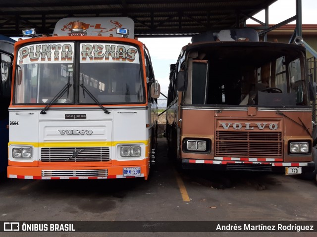 Autobuses sin identificación - Costa Rica 00 na cidade de Alajuela, Alajuela, Costa Rica, por Andrés Martínez Rodríguez. ID da foto: 9035254.