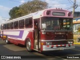 Travisa Herediana HB 1478 na cidade de San Vicente, Moravia, San José, Costa Rica, por Daniel Brenes. Número da foto: #8961451.