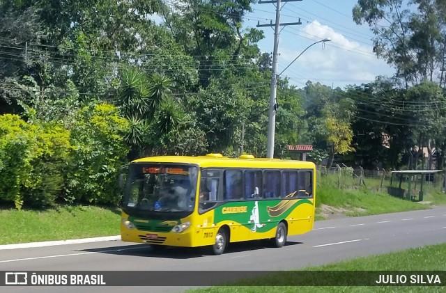 Expresso Caxiense 7013 na cidade de Bom Princípio, Rio Grande do Sul, Brasil, por JULIO SILVA. ID da foto: 8965897.