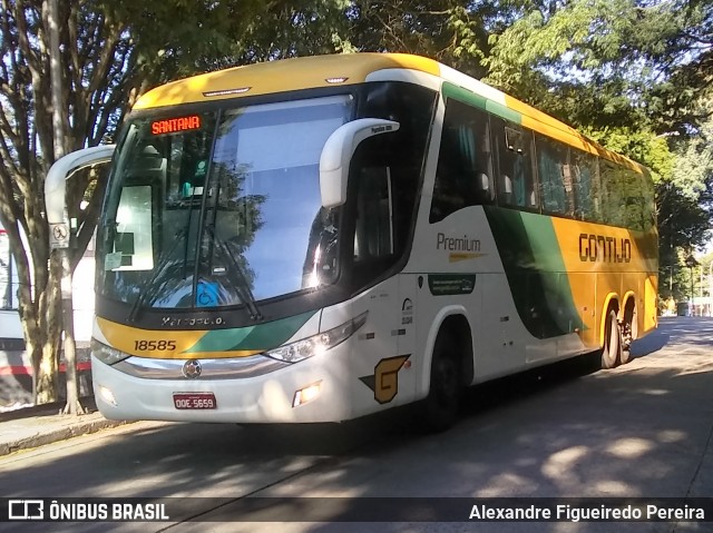 Empresa Gontijo de Transportes 18585 na cidade de São Paulo, São Paulo, Brasil, por Alexandre Figueiredo Pereira. Número da foto: #8967887.