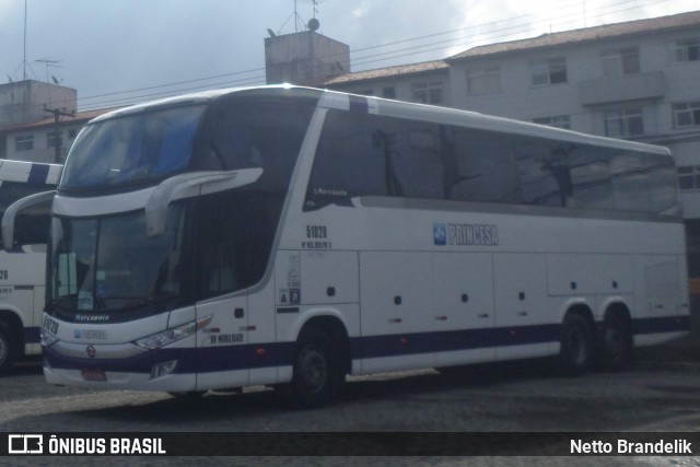 Princesa do Norte 51020 na cidade de Curitiba, Paraná, Brasil, por Netto Brandelik. Número da foto: #8976486.