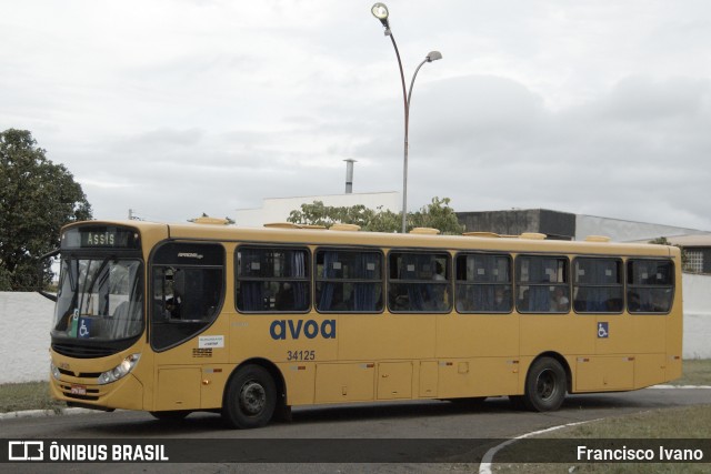 AVOA - Auto Viação Ourinhos Assis 34125 na cidade de Ourinhos, São Paulo, Brasil, por Francisco Ivano. Número da foto: #8976280.