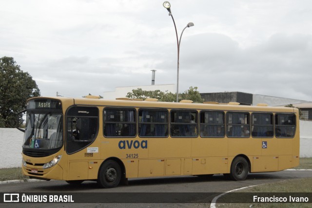 AVOA - Auto Viação Ourinhos Assis 34125 na cidade de Ourinhos, São Paulo, Brasil, por Francisco Ivano. ID da foto: 8976280.