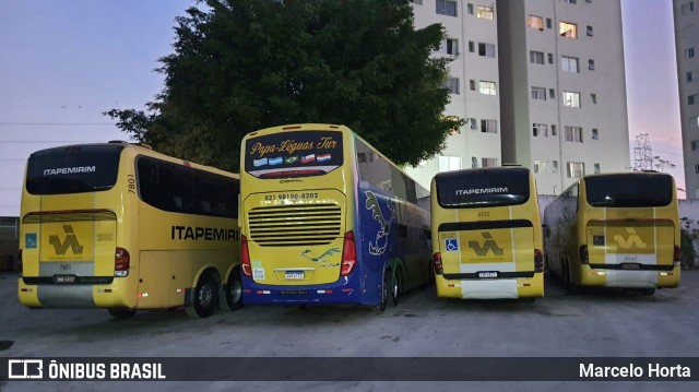 Viação Itapemirim 8925 na cidade de São Paulo, São Paulo, Brasil, por Marcelo Horta. Número da foto: #8976921.