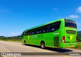 Pássaro Verde 15128 na cidade de Raul Soares, Minas Gerais, Brasil, por Daniel Silva. Número da foto: #8977156.
