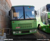Jasmim Turismo 2020 na cidade de Itaúna, Minas Gerais, Brasil, por Vicente de Paulo Alves. Número da foto: #8978065.