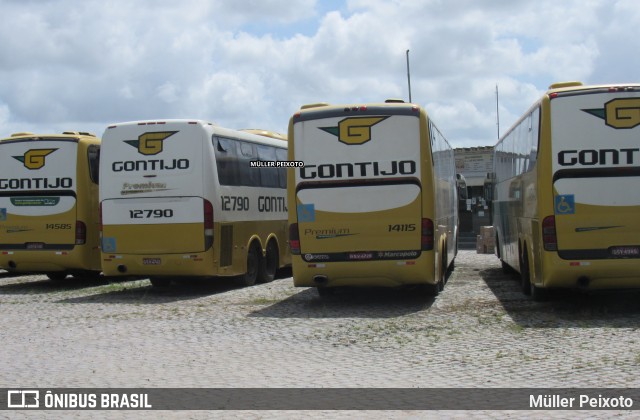 Empresa Gontijo de Transportes 14115 na cidade de Rio Largo, Alagoas, Brasil, por Müller Peixoto. ID da foto: 9065610.