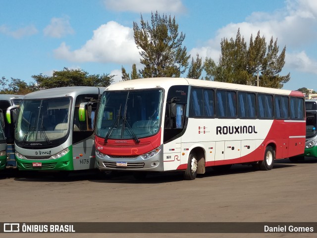 Rouxinol 1611 na cidade de Ouro Branco, Minas Gerais, Brasil, por Daniel Gomes. ID da foto: 9066049.