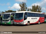 Rouxinol 1611 na cidade de Ouro Branco, Minas Gerais, Brasil, por Daniel Gomes. Número da foto: #9066049.