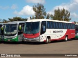 Rouxinol 1611 na cidade de Ouro Branco, Minas Gerais, Brasil, por Daniel Gomes. ID da foto: :id.