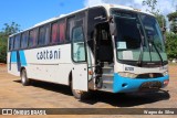 Cattani Transportes e Turismo 6209 na cidade de Almeirim, Pará, Brasil, por Wagno da  Silva. ID da foto: :id.