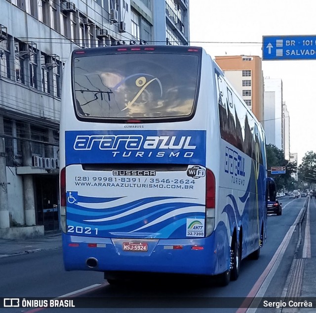 Arara Azul Turismo 2021 na cidade de Vitória, Espírito Santo, Brasil, por Sergio Corrêa. Número da foto: #9073580.
