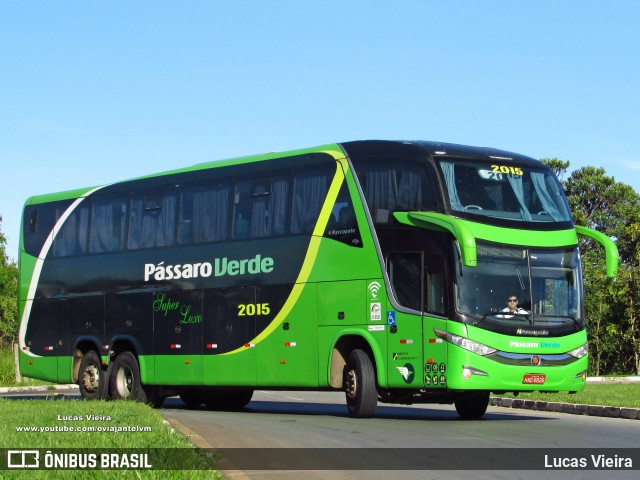 Pássaro Verde 2015 na cidade de Brasília, Distrito Federal, Brasil, por Lucas Vieira. ID da foto: 9077080.