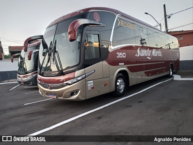 Santa Maria Fretamento e Turismo > Transportes Santa Maria(SP) 350 na cidade de São Bernardo do Campo, São Paulo, Brasil, por Agnaldo Penides. Número da foto: #9077463.