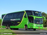 Pássaro Verde 2015 na cidade de Brasília, Distrito Federal, Brasil, por Lucas Vieira. Número da foto: #9077080.