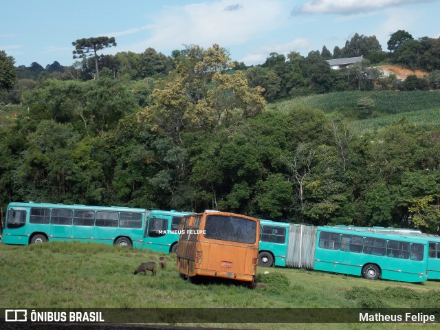 Empresa Cristo Rei > CCD Transporte Coletivo 007 na cidade de Campo Magro, Paraná, Brasil, por Matheus Felipe. ID da foto: 9081985.