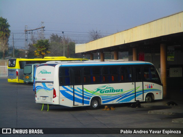 Gal-Bus 200 na cidade de San Fernando, Colchagua, Libertador General Bernardo O'Higgins, Chile, por Pablo Andres Yavar Espinoza. Número da foto: #9085125.
