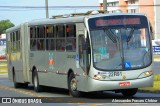 Empresa de Ônibus Campo Largo 22R91 na cidade de Campo Largo, Paraná, Brasil, por Alessandro Fracaro Chibior. Número da foto: #9082788.