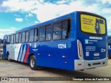 Transportes Capellini 17.214 na cidade de Vinhedo, São Paulo, Brasil, por Henrique Alves de Paula Silva. Número da foto: #9088197.