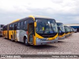 Transportes Capellini 23025 na cidade de Hortolândia, São Paulo, Brasil, por Henrique Alves de Paula Silva. Número da foto: #9088182.