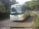 Falcão Real 1401 na cidade de Salvador, Bahia, Brasil, por Mario dos Santos Nogueira Junior. Número da foto: #:id.