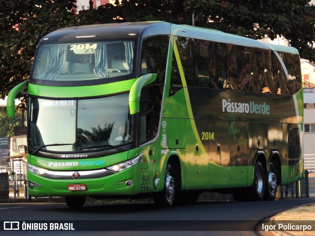 Pássaro Verde 2014 na cidade de Ribeirão Preto, São Paulo, Brasil, por Igor Policarpo. Número da foto: #9094290.