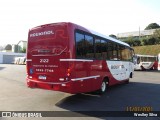 Rouxinol 2122 na cidade de Belo Horizonte, Minas Gerais, Brasil, por Weslley Silva. Número da foto: #:id.