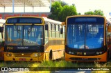 Transportes Coletivos Nossa Senhora da Piedade EP164 na cidade de Campo Largo, Paraná, Brasil, por Alessandro Fracaro Chibior. Número da foto: #:id.
