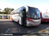 Rouxinol 1300 na cidade de Belo Horizonte, Minas Gerais, Brasil, por Weslley Silva. Número da foto: #:id.