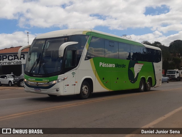 Pássaro Verde 11103 na cidade de Ouro Preto, Minas Gerais, Brasil, por Daniel Junior Sena. ID da foto: 9043272.