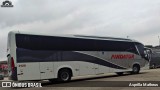 Pindatur Transporte e Turismo 2120 na cidade de São Paulo, São Paulo, Brasil, por Asprilla Matheus. Número da foto: #9043905.