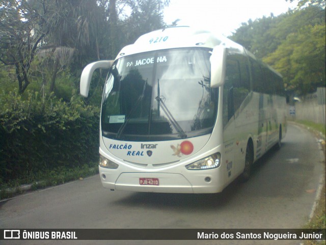 Falcão Real 4210 na cidade de Salvador, Bahia, Brasil, por Mario dos Santos Nogueira Junior. Número da foto: #9096379.