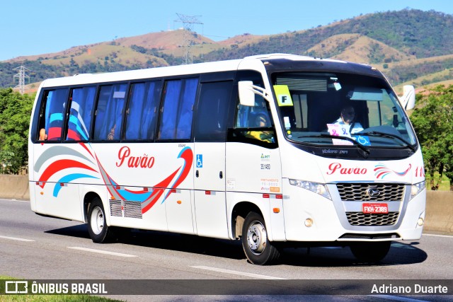 Turismo Pavão 110 na cidade de Roseira, São Paulo, Brasil, por Adriano Duarte. ID da foto: 9097548.