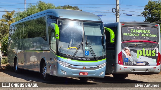 Viação Garcia 8423 na cidade de Marialva, Paraná, Brasil, por Elvio Antunes. Número da foto: #9103729.