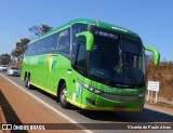 Pássaro Verde 19146 na cidade de Itaúna, Minas Gerais, Brasil, por Vicente de Paulo Alves. Número da foto: #9100904.