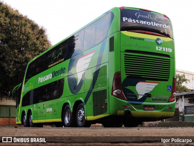 Pássaro Verde 12119 na cidade de Ribeirão Preto, São Paulo, Brasil, por Igor Policarpo. Número da foto: #9106262.