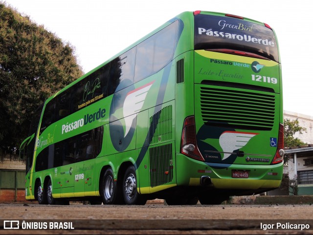 Pássaro Verde 12119 na cidade de Ribeirão Preto, São Paulo, Brasil, por Igor Policarpo. ID da foto: 9106262.